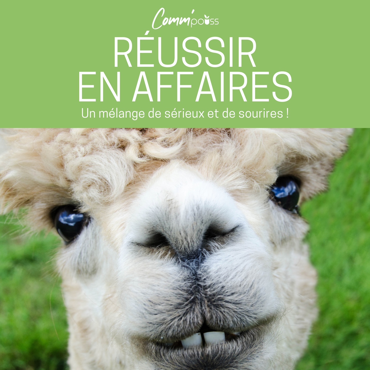 Lire la suite à propos de l’article Réussir en affaires : un mélange de sérieux et de sourires !