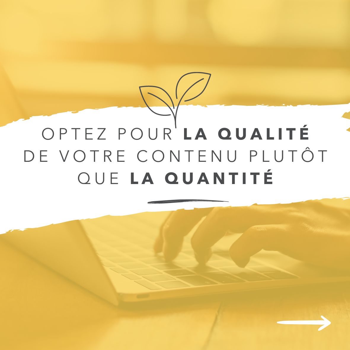 Lire la suite à propos de l’article Optez pour la qualité plutôt que la quantité !