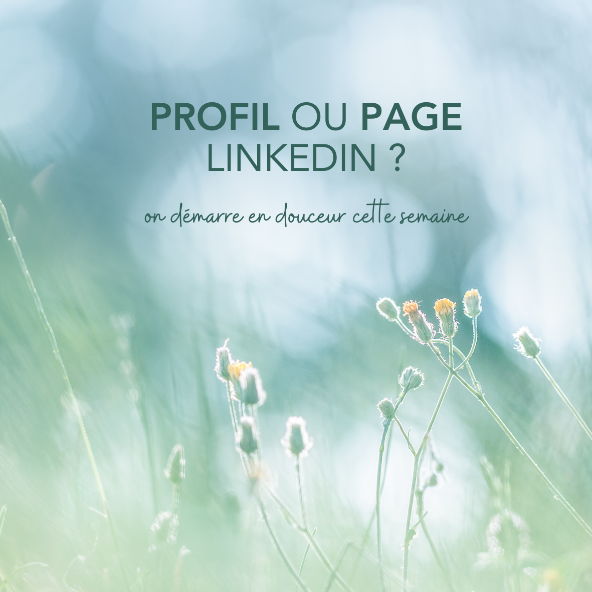 Lire la suite à propos de l’article Profil ou page professionnelle sur linkedin ?