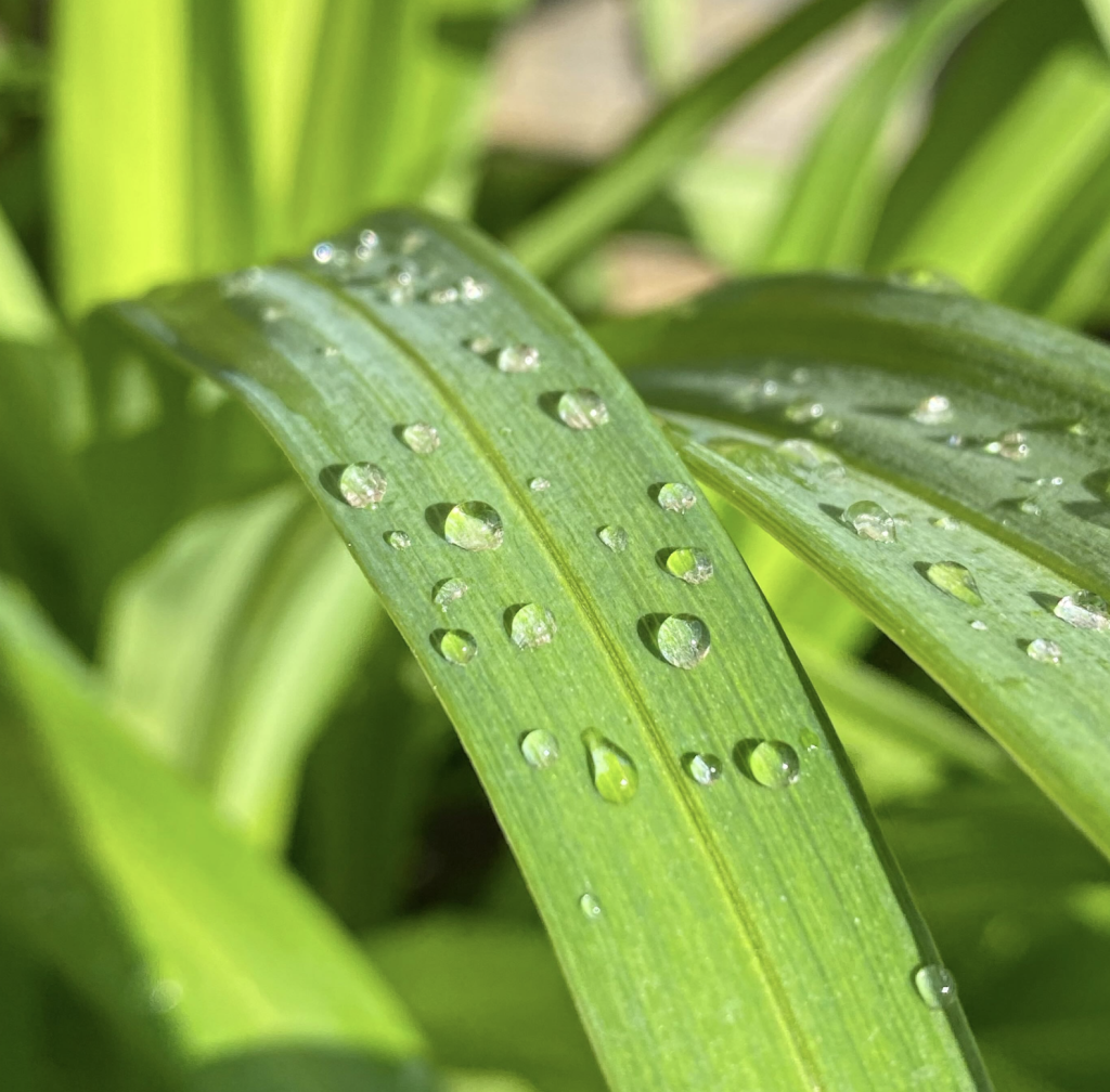 Capture decran 2026 01 29 a 15.35.28 1024x1008 Mon blog évolue !