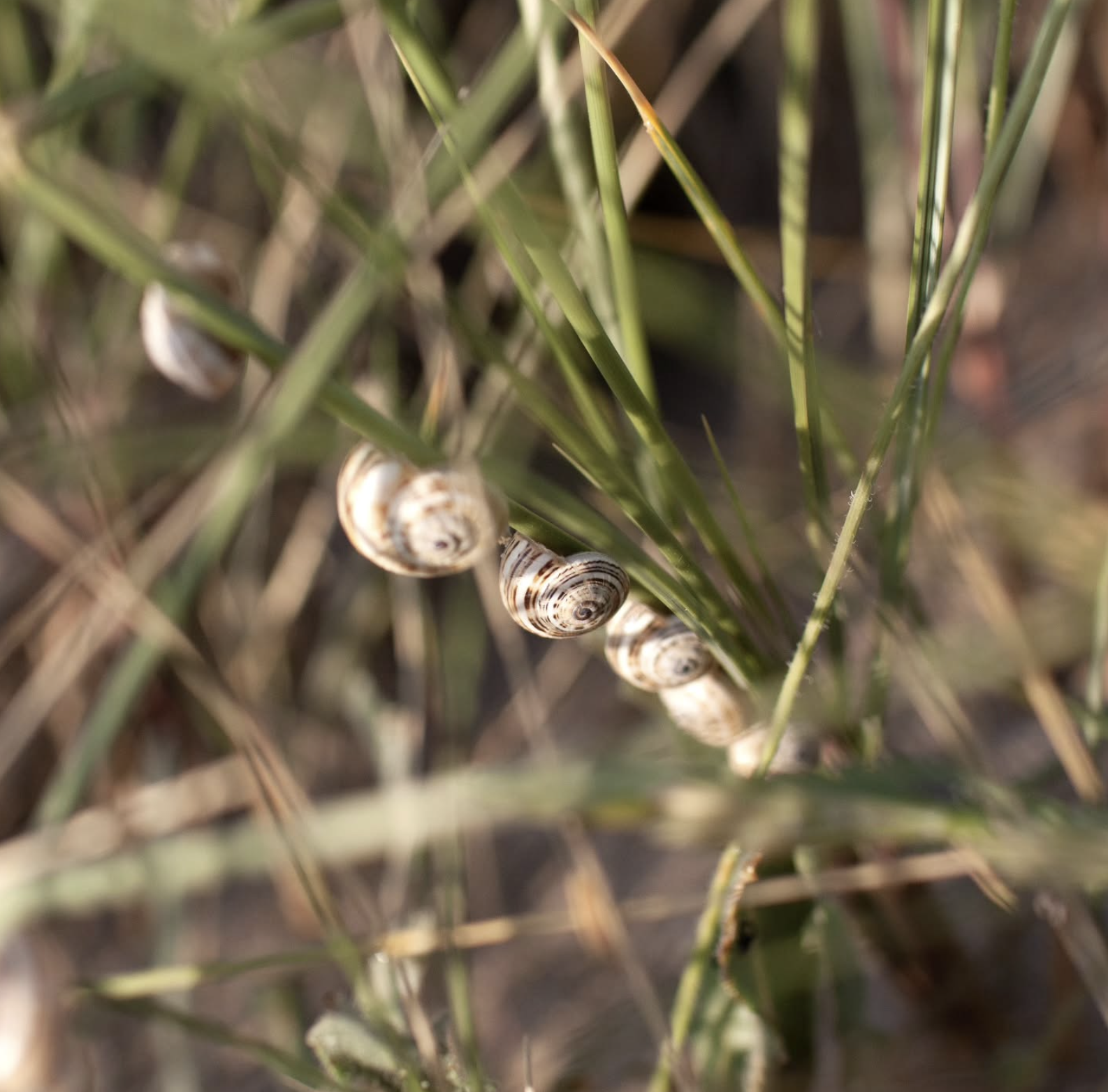 Capture decran 2026 01 29 a 15.36.44 Espaces naturels et tourisme