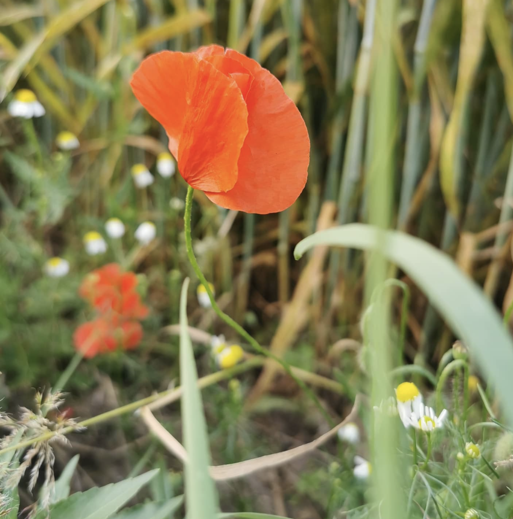 Capture decran 2026 01 29 a 15.42.13 1012x1024 Réserves naturelles protégées