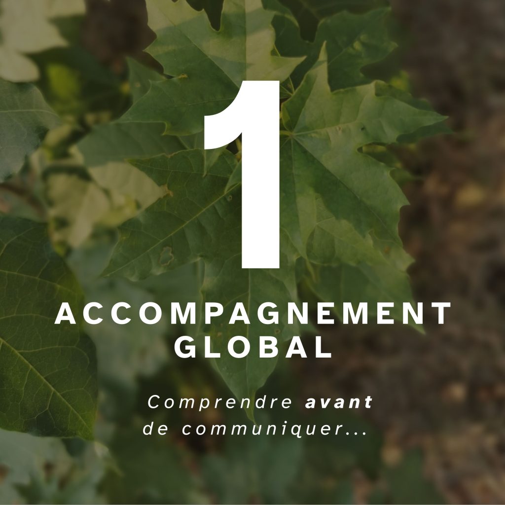 1 1024x1024 Mes offres