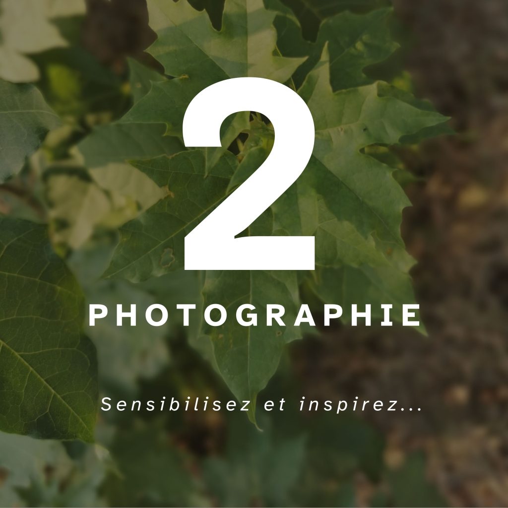 2 1024x1024 Mes offres