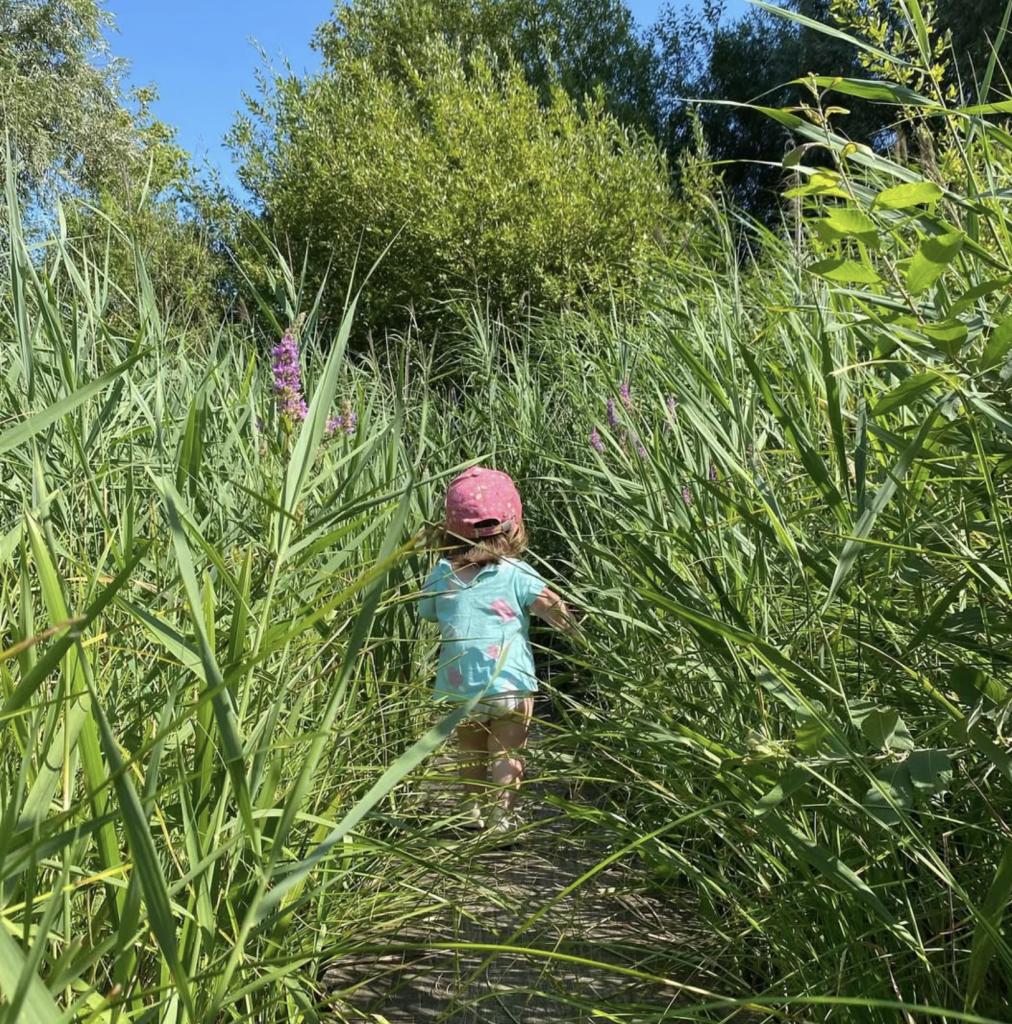 Capture decran 2026 02 02 a 21.44.25 1012x1024 Espaces naturels et tourisme