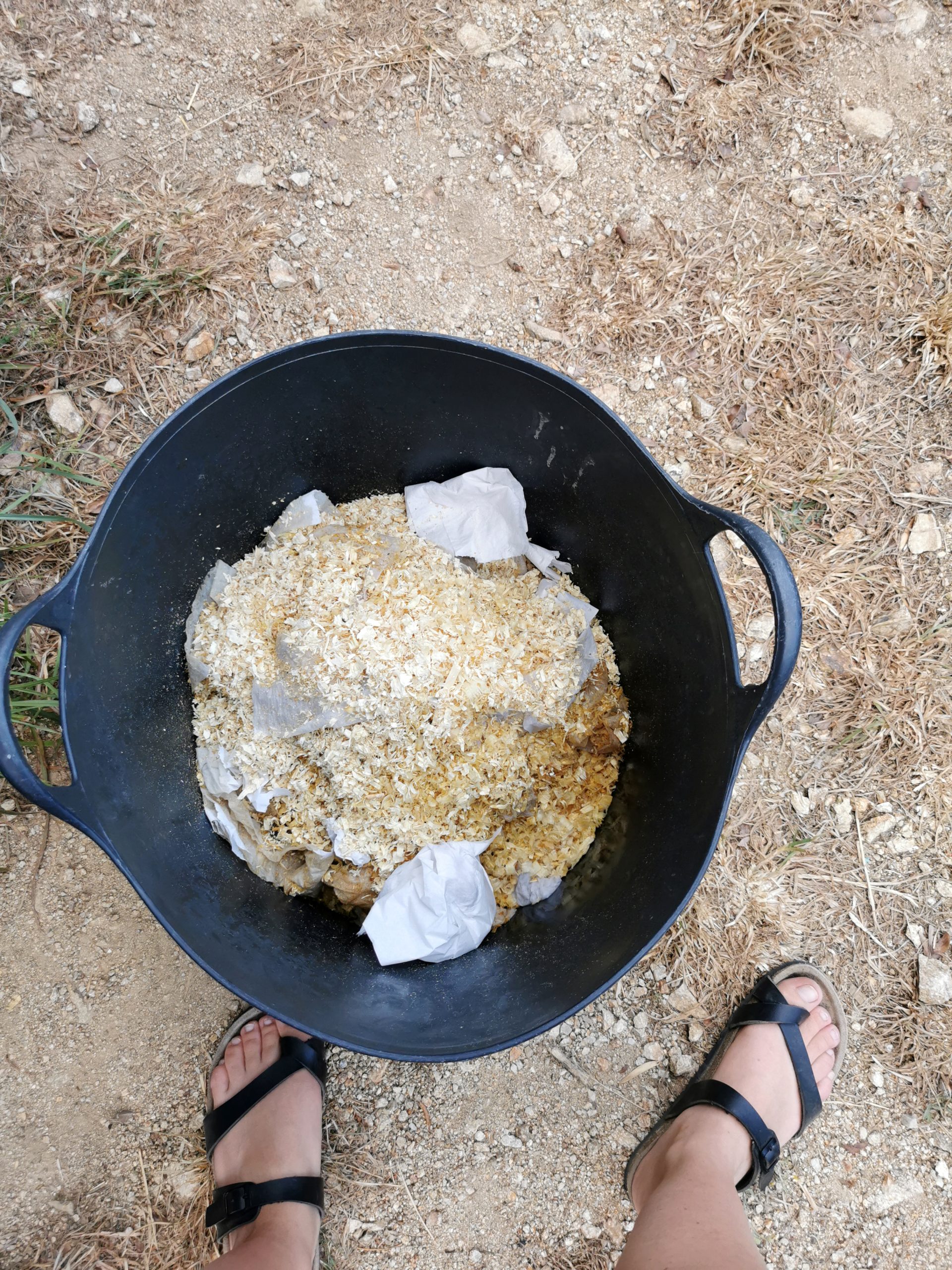 IMG 20200811 201449 scaled Blog