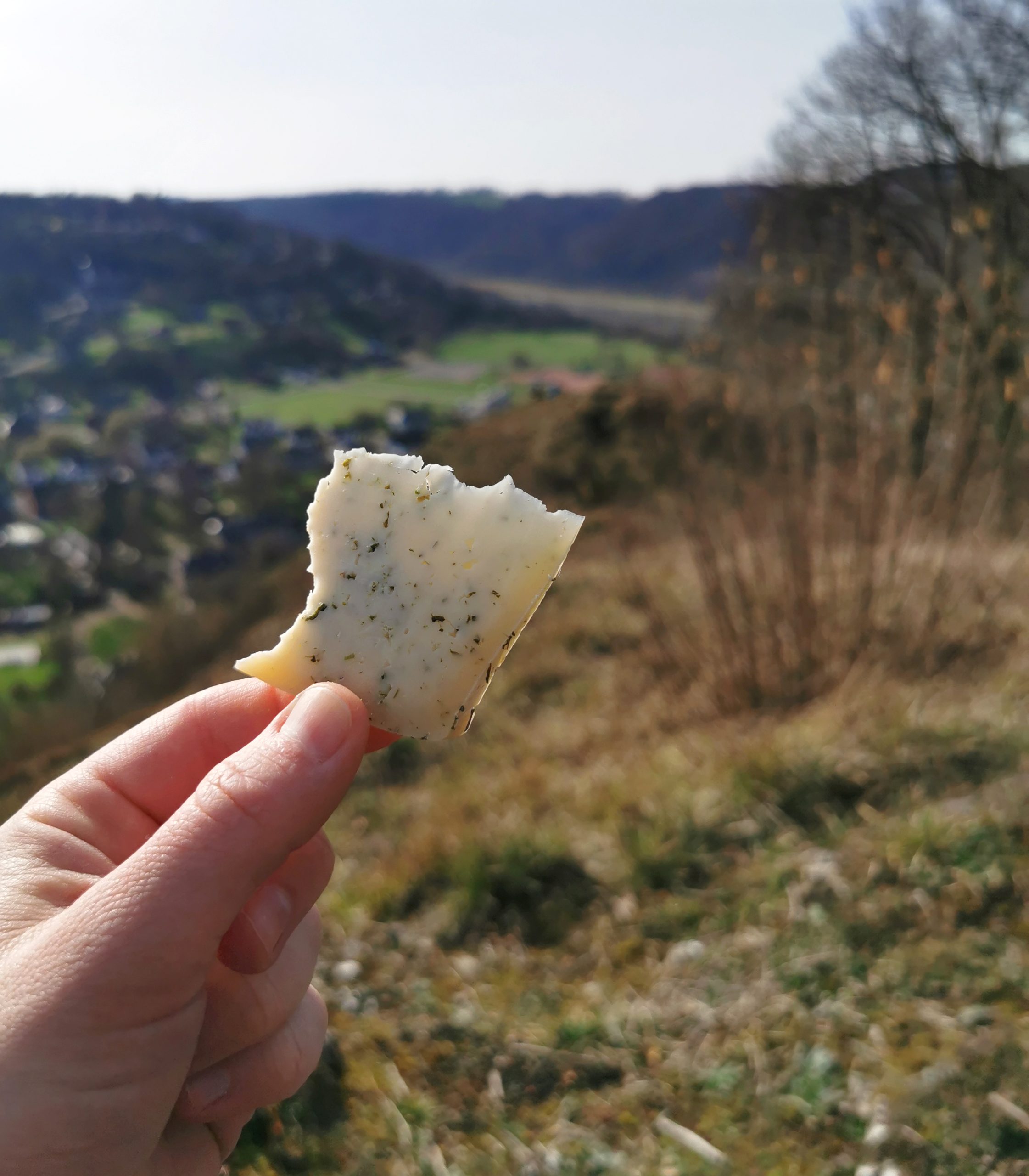 Lire la suite à propos de l’article Je suis photographe, rédactrice et j’accompagne les projets engagés – Dupliquer – [#2882]