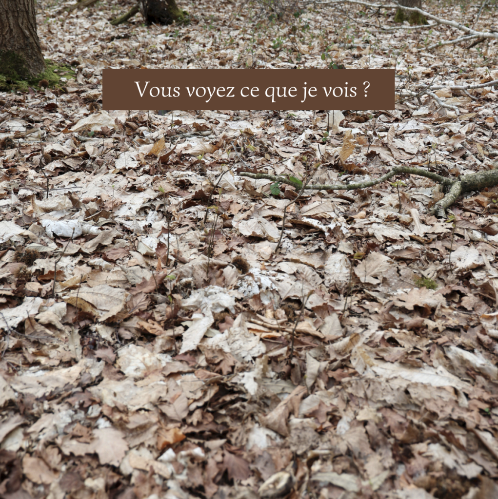 Capture decran 2026 04 07 a 13.36.26 1021x1024 Vous voyez ce que je vois ?