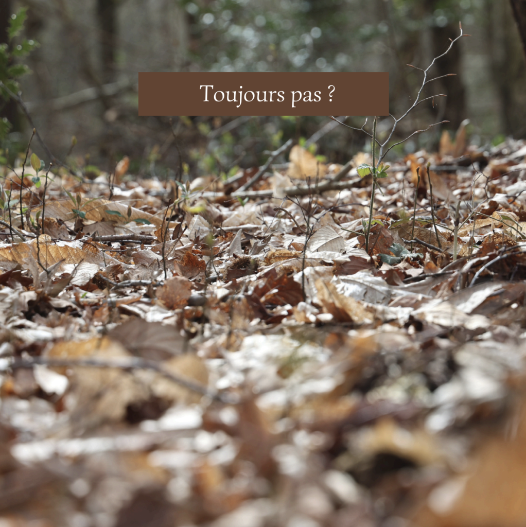 Capture decran 2026 04 07 a 13.36.32 1022x1024 Vous voyez ce que je vois ?