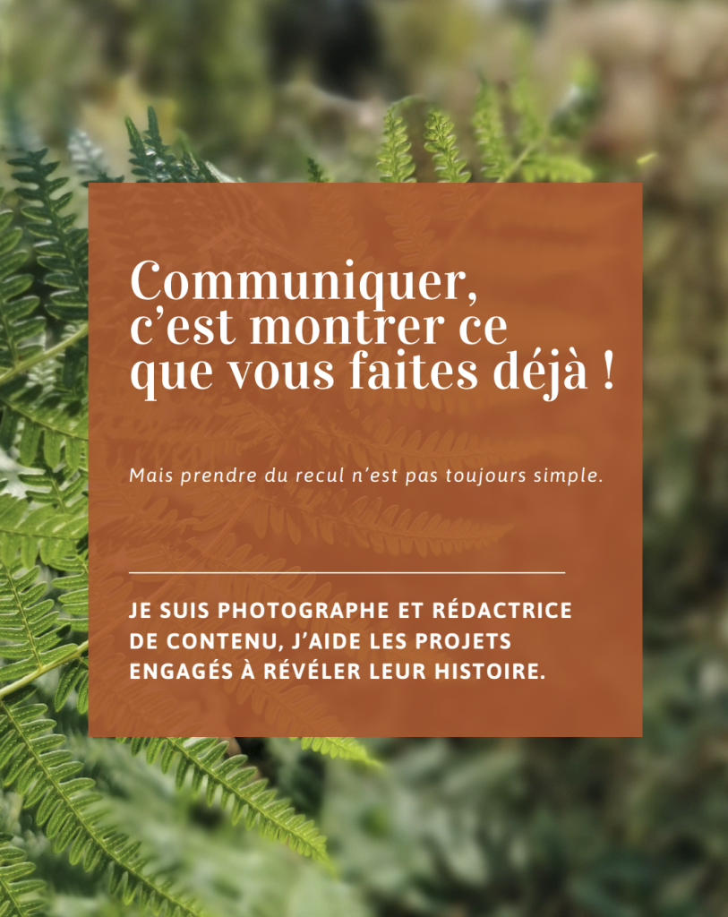 Capture decran 2026 04 07 a 13.46.27 813x1024 Je nsais pas quoi publier