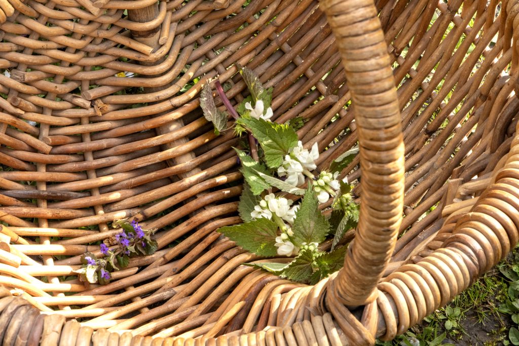 Oasis des mauvaises herbes 00009 1024x683 Mettre l’humain et les démarches porteuses de sens au cœur de mes images.​