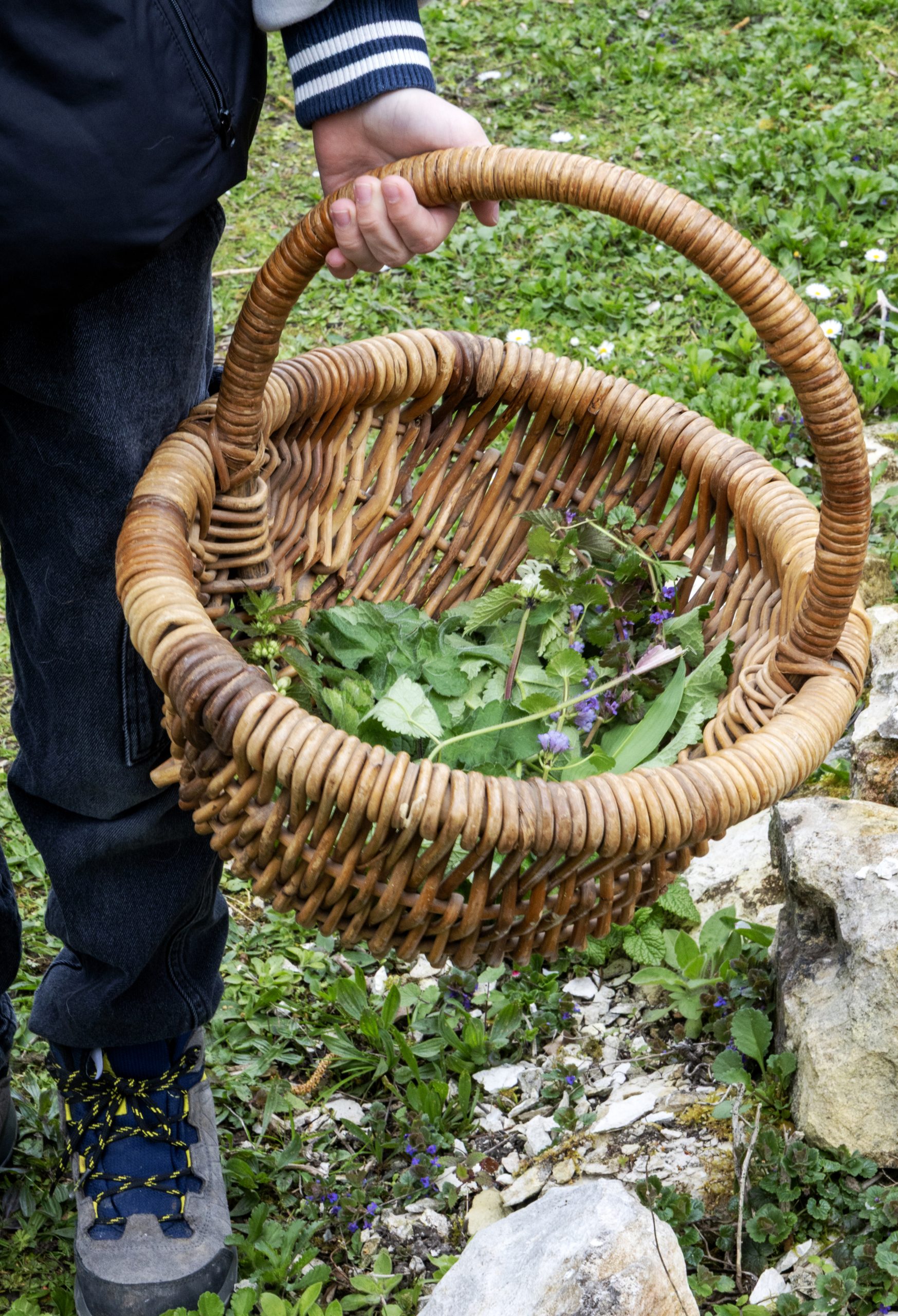 Oasis des mauvaises herbes 00019 scaled Mettre l’humain et les démarches porteuses de sens au cœur de mes images.​