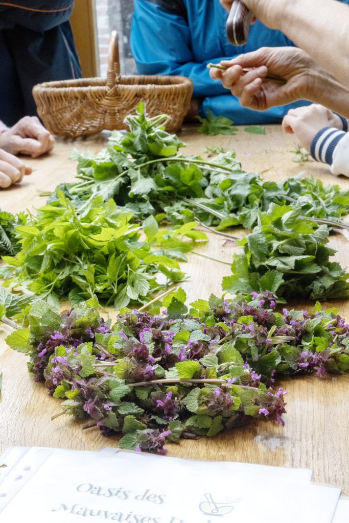 Oasis des mauvaises herbes 00027 683x1024 Mettre l’humain et les démarches porteuses de sens au cœur de mes images.​