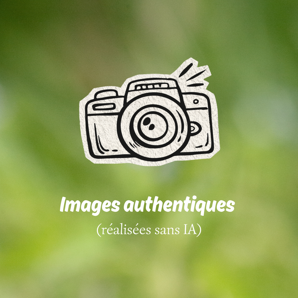 Vous voyez ce que je vois 1 2 1024x1024 Entreprises et savoir faire locaux