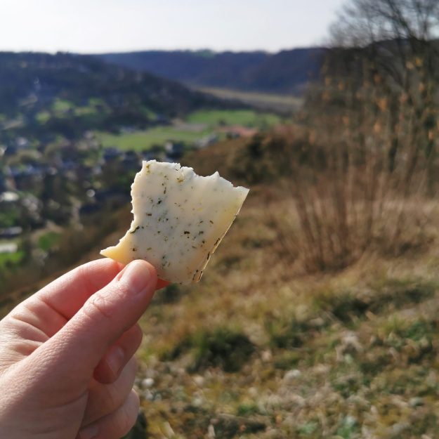 IMG 20260226 124614 scaled rjyldjzgr8zaln4uo7bipj641a6cycoy0u6yxjwhbe Je suis photographe, rédactrice et j’accompagne les projets engagés   Dupliquer   [#2882]