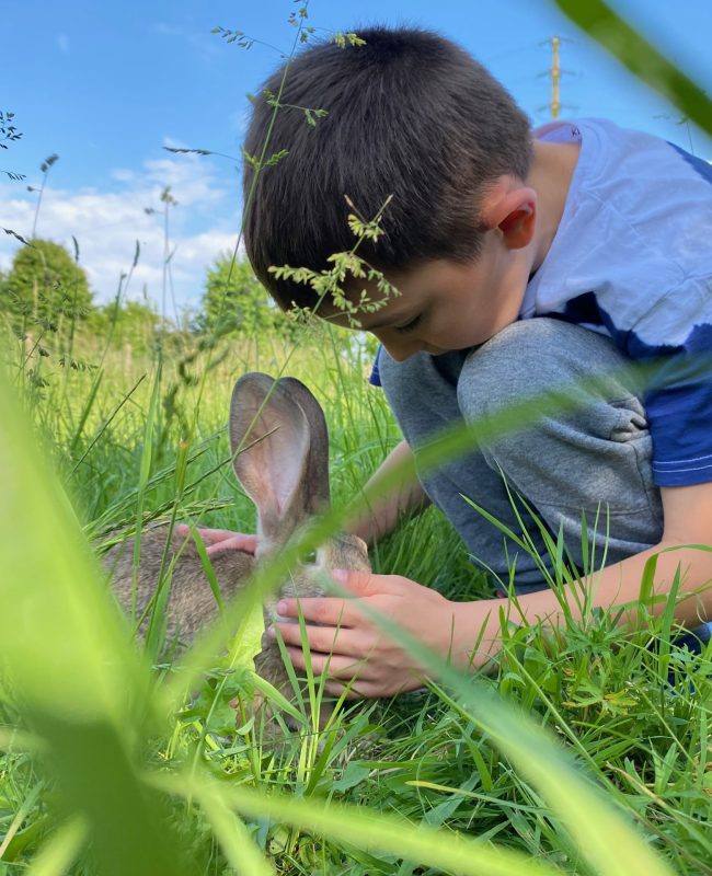 %name Fermes pédagogiques